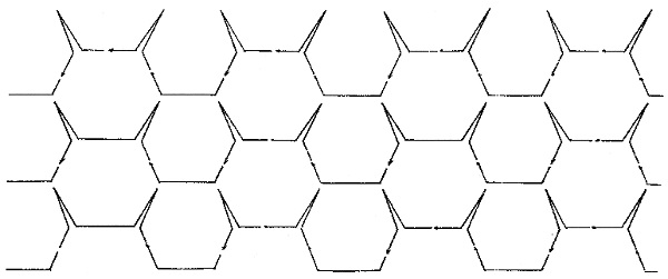Chicken Wire